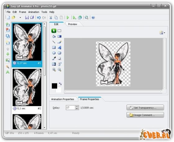 Easy GIF Animator Pro 4.8.0.38 Portable
