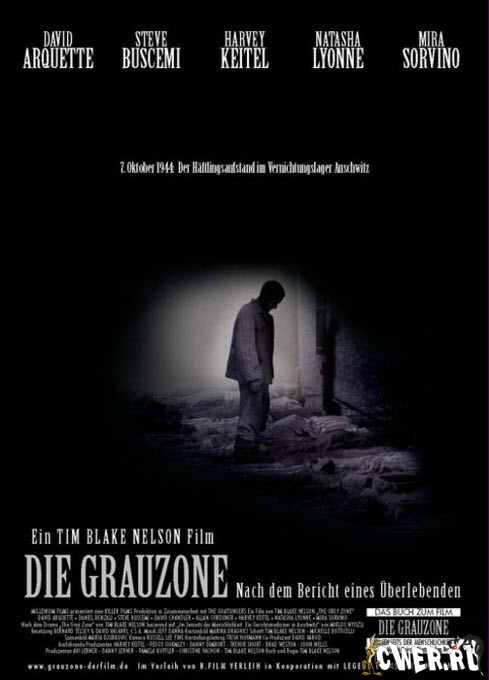 Серая зона (2001) DVDRip