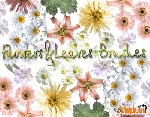 Flowers & Leaves Brushes