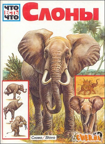Что есть Что - Слоны