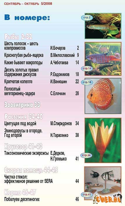 , журнал Аквариум