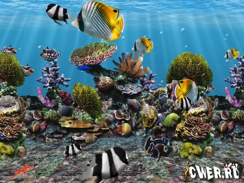 3D Fish School Screensaver 4.7