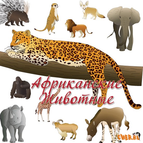 Mammal in Africa