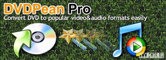 DVDPean Pro v5.3.6