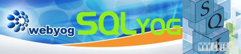 SQLyog Enterprise v6.0 Retail