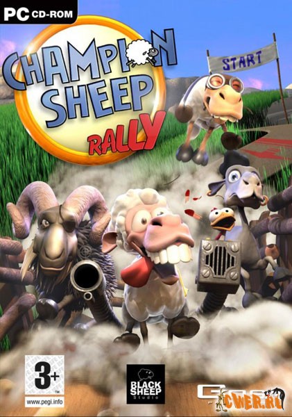 Champion Sheep Rally