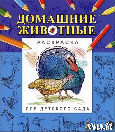 Домашние животные. Супер-раскраска