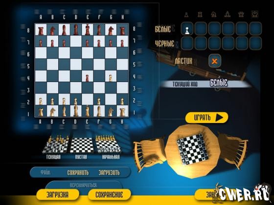 chess22