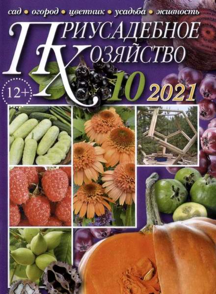 Приусадебное хозяйство №10 октябрь 2021 + приложения Цветы в саду и дома Дачная кухня