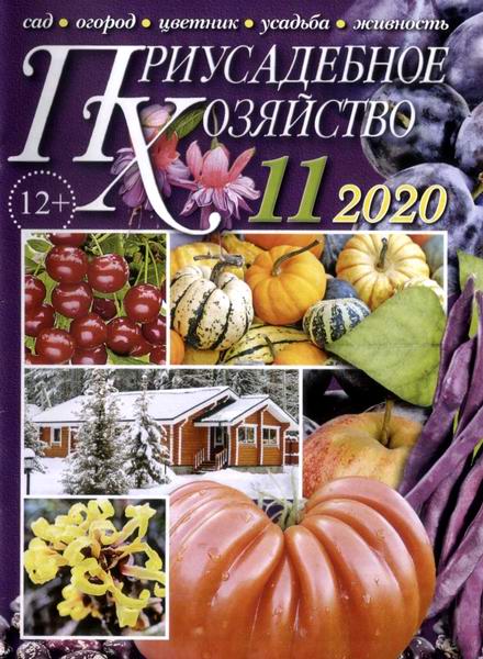 Приусадебное хозяйство №11 ноябрь 2020 + приложения Цветы в саду и дома Дачная кухня