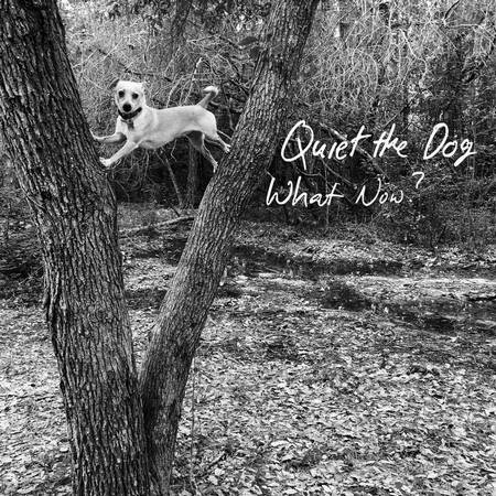 Quiet The Dog - What Now? (2018)