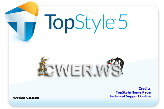 TopStyle