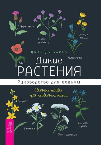 Дикие растения: руководство для ведьмы. Обычные травы для необычной магии