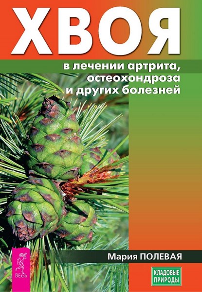 Хвоя в лечении артрита, остеохондроза и других болезней