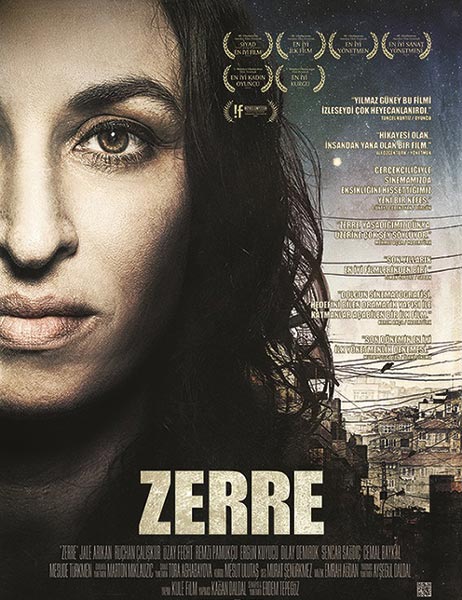 Частица / Zerre (2012/DVDRip