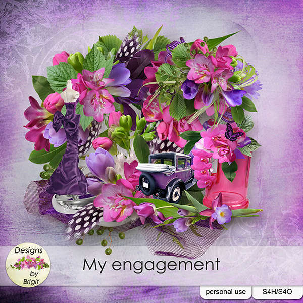 My Engagement (Cwer.ws)