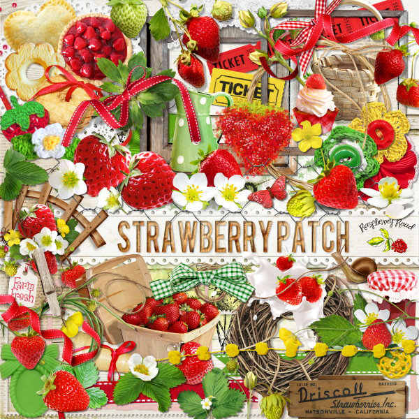 Strawberry Patch (Cwer.ws)