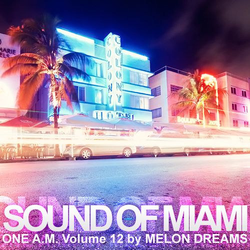 Sound Of Miami: One A.M. Vol. 12 (2013)