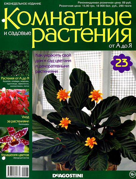 Комнатные и садовые растения от А до Я №23 2014