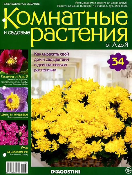 Комнатные и садовые растения от А до Я №34 2014