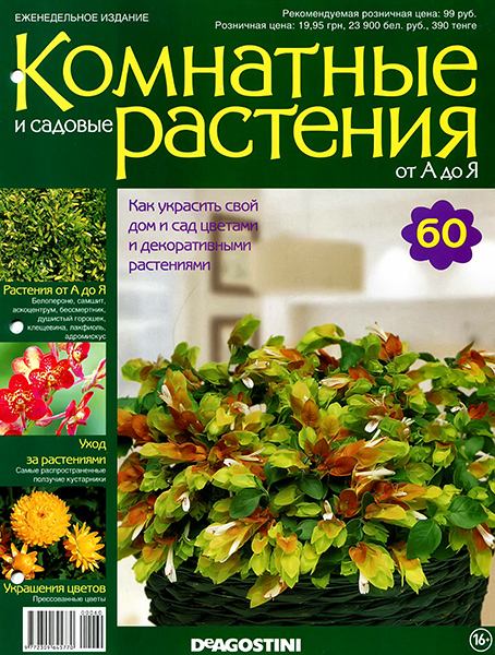 Комнатные и садовые растения от А до Я №60 2015
