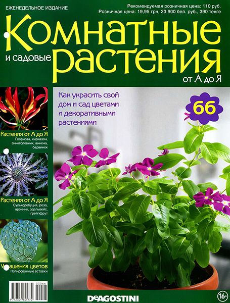 Комнатные и садовые растения от А до Я №66 2015