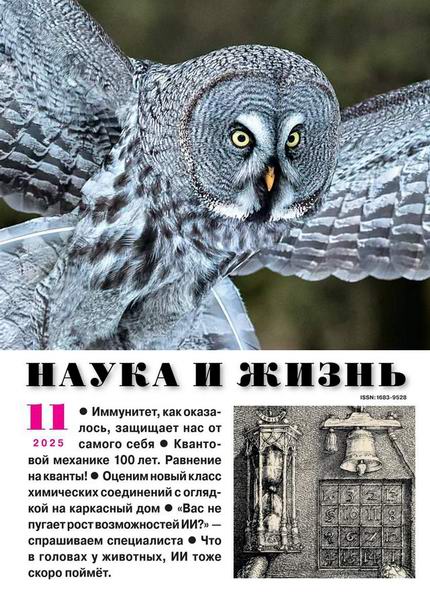 Наука и жизнь №11 ноябрь 2025
