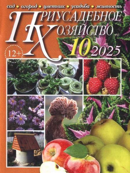 Приусадебное хозяйство №10 октябрь 2025 + приложения Цветы в саду и дома Дачная кухня