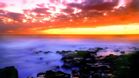 Wallpapers nature 24 6