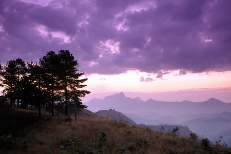 Wallpapers nature 23 5