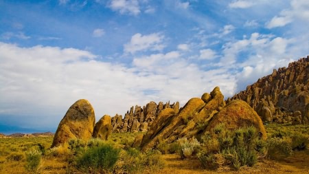 Wallpapers nature 23 6