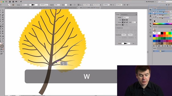 Adobe Illustrator: расширенные возможности2