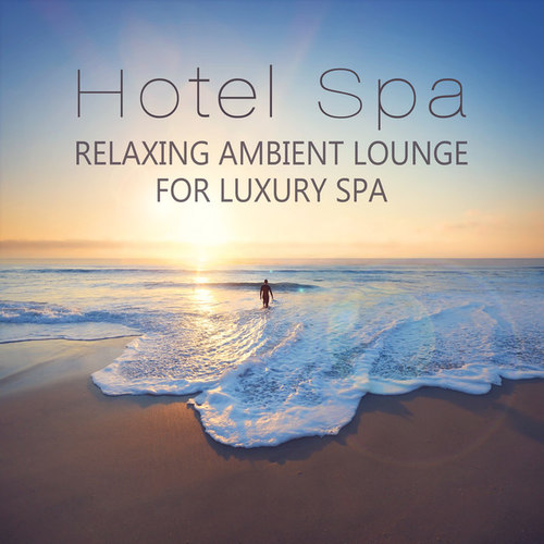 Hotel Spa: Relaxing Ambient Lounge