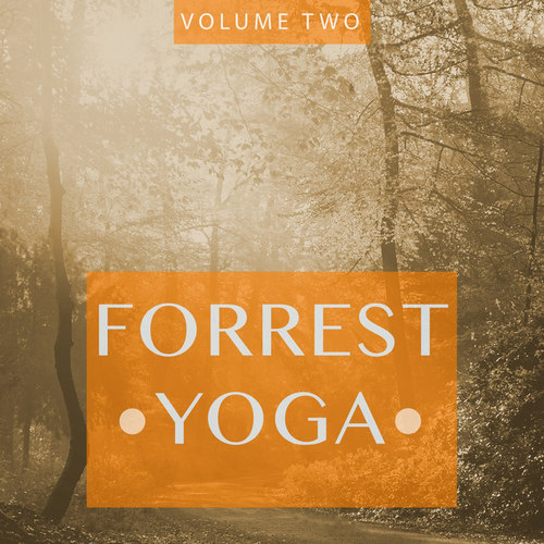 Forrest Yoga Vol.2: Finest In Smooth Electronic Music
