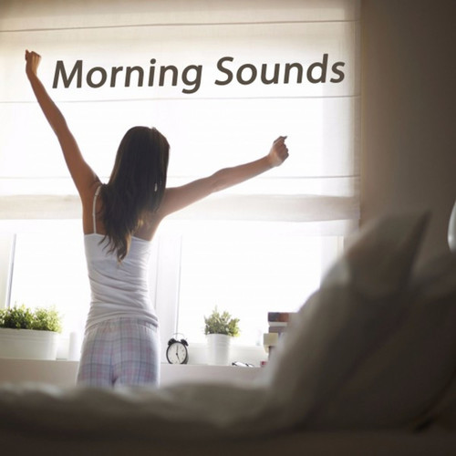 Morning Sounds: The Best of Extraordinary Chillout Lounge and Downbeat