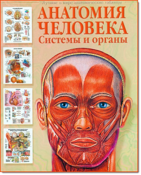 Anatomiya_cheloveka