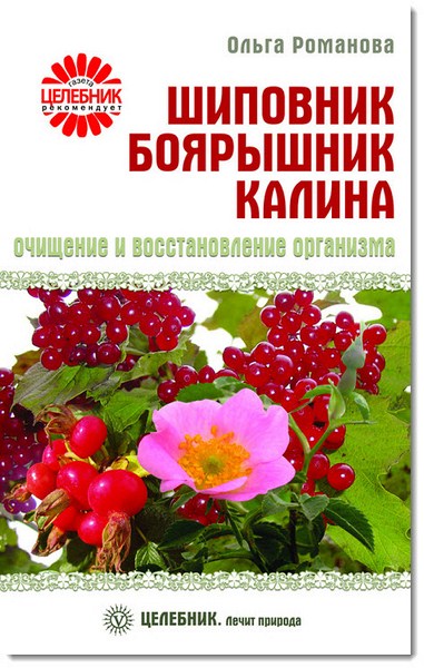 Шиповник, боярышник, калина: очищение и восстановление организма