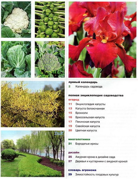 Коллекция садовника №6 (март 2012)