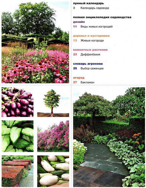 Коллекция садовника №9 (апрель 2012)