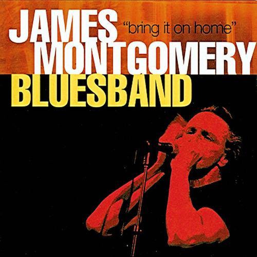 James Montgomery Bluesband - Bring It On Home (2001)