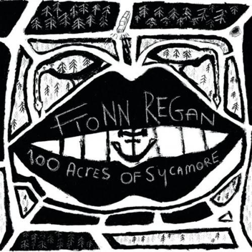 Fionn Regan - 100 Acres Of Sycamore (2011)