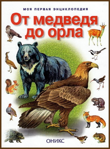 От медведя до орла: звери и птицы России и Европы