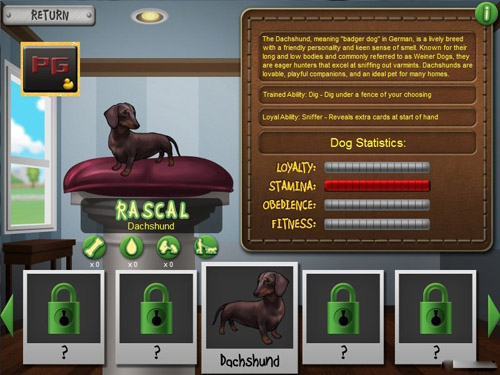 Best in Show Solitaire (2011)