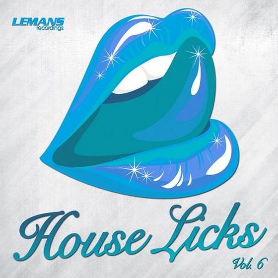 House Licks Vol.6 (2014)