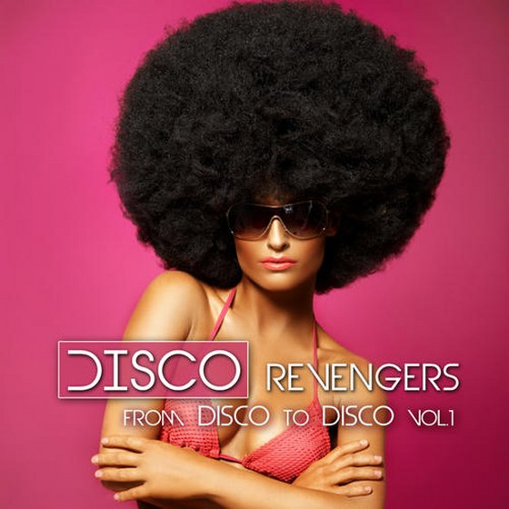 скачать Disco Revengers Vol. 1: From Disco To Disco (2011)