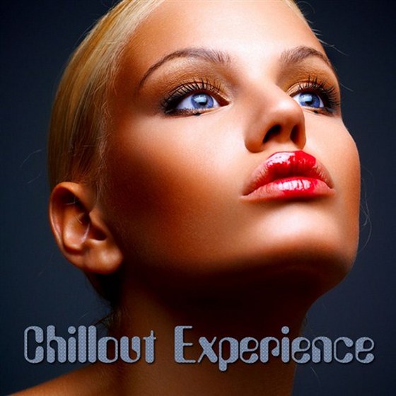 скачать Chillout Experience (2012)