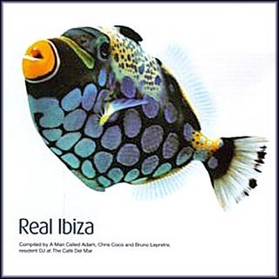 Real Ibiza Vol.1-7 (1998-2004)