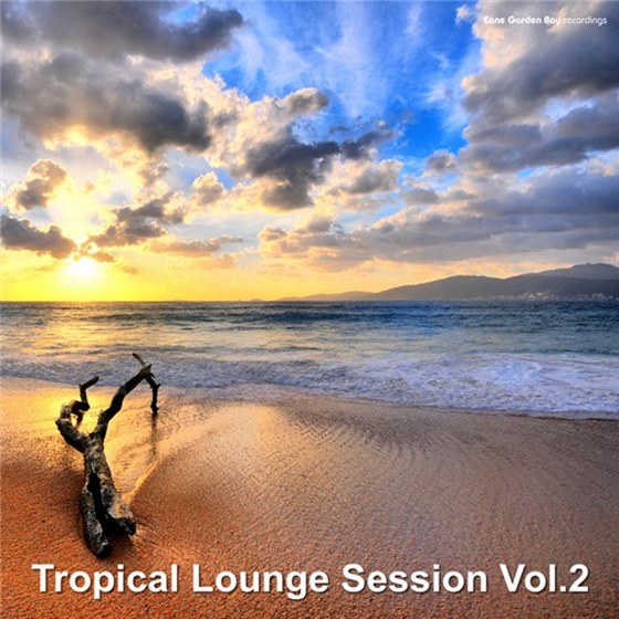 скачать Tropical Lounge Session, Vol. 2 (2012)