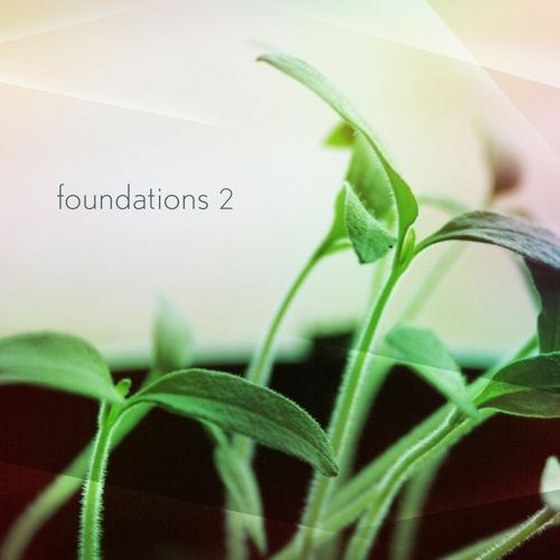 скачать Foundations Vol.2 (2012)