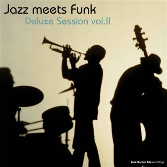 скачать Jazz Meets Funk Deluxe Session Vol 2 (2012)